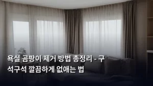 욕실 곰팡이 제거 방법 총정리 – 구석구석 깔끔하게 없애는 법