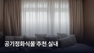 공기정화식물 추천 실내, 우리 집 공기 맑게 가꿀 방법 알아보기