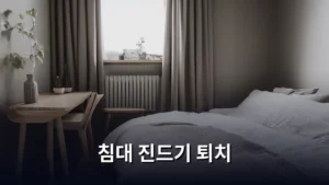 침대 진드기 퇴치, 쾌적한 숙면을 위한 완벽 가이드