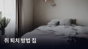 집 안 쥐 퇴치 방법, 완벽 가이드로 안녕하게 하는 법 알아보기