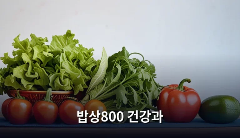 밥상800 건강과 영양 균형을 위한 실용 이용 가이드