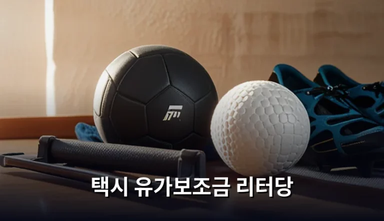 택시 유가보조금 리터당 지급 기준 및 신청 방법 가이드